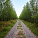 cover of the track - Complete path