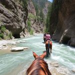 cover of the track - River gorge horseback ride